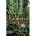 Wisdom from a Rainforest: The Spiritual Journey of an Anthropologist