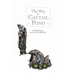 The Way to Cat Tail Pond