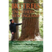 Big Trees of Northern New England