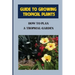 Guide To Growing Tropical Plants: How To Plan A Tropical Garden: Plant Types For Tropical Garden