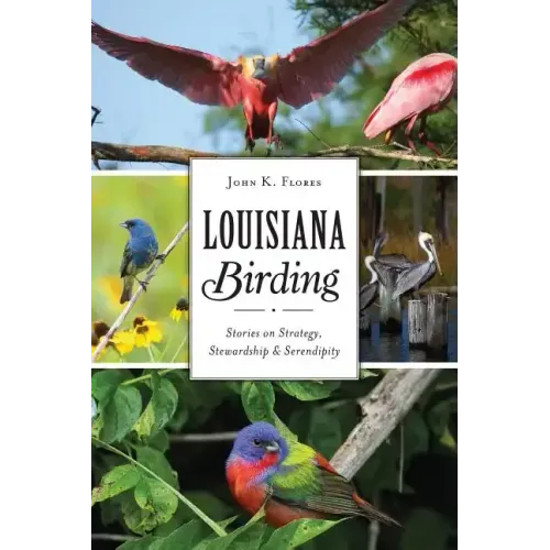 Louisiana Birding: Stories on Strategy, Stewardship and Serendipity