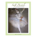 Soft Pastels...an exploration