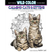Calming Cats & Kittens: Adult Coloring Book