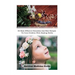 Survival Medicine Guide: 86 Most Effective Remedies And Best Recipes To Cure Children With Healing Herbs: (Herbal Medicine, Essential Oils For