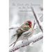 The Birds Are Singing In The Snow