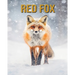 Red Fox: Amazing Photos and Fun Facts Book
