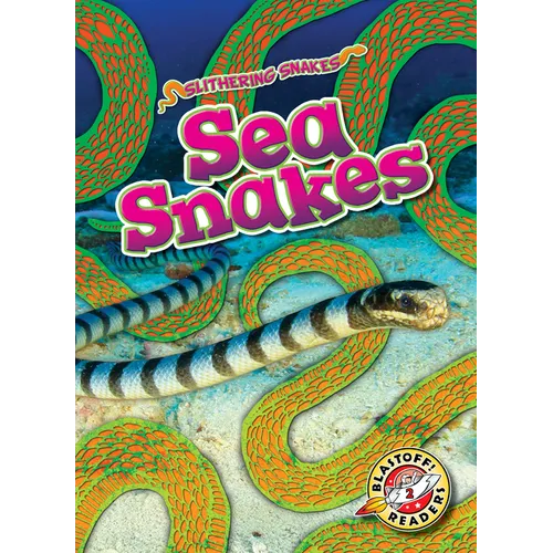 Sea Snakes