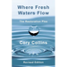 Where Fresh Waters Flow