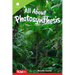 All about Photosynthesis