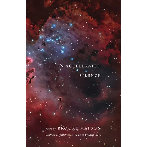 In Accelerated Silence: Poems