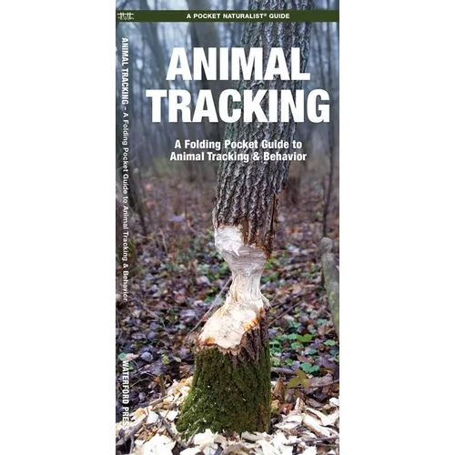 Animal Tracking: A Folding Pocket Guide to Animal Tracking & Behavior
