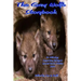 The Grey Wolfe Storybook: 2014