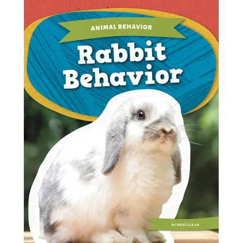 Rabbit Behavior