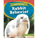 Rabbit Behavior