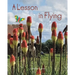 A Lesson in Flying