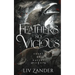 Feathers so Vicious: A Dark Fantasy Romance
