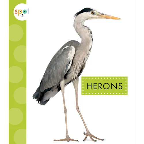 Herons