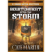 Bewitchment After the Storm: A Viking Witch Mystery