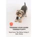 Training Your Cairn Terrier Puppy: Must-Know Tips Before Owing A Cairn Terrier: Facts About The Cairn Terrier