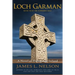 Loch Garman: A Novel of Viking Age Ireland