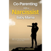Co-Parenting with a Narcissist Baby Mama: Effective Co-Parenting and Bouncing Back After a Toxic Relationship of Emotional and Narcissistic Abuse