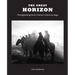 The Great Horizon