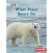 What Polar Bears Do