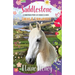 Saddlestone Connemara Pony Listening School Sinead and Strawberry