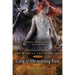 City of Heavenly Fire