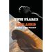 Twin Flames Explained