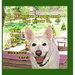 If You're Happy And You Know It, Wag Your Tale