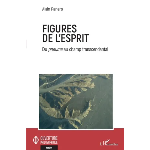 Figures de l'esprit: Du pneuma au champ transcendantal