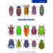 Australian Beetles Volume 1: Morphology, Classification and Keys