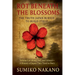 Rot Beneath the Blossoms