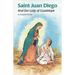 Saint Juan Diego (Ess)