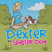 Dexter the Shelter Dog