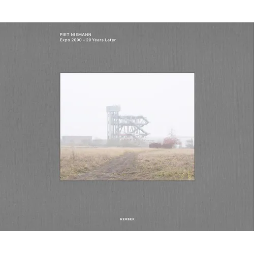 Piet Niemann: Expo 2000: 20 Years Later