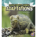 Rain Forest Animal Adaptations