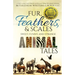Fur, Feathers, and Scales: Sweet, Funny, and Strange Animal Tales