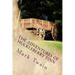 The Adventures Of Huckleberry Finn: Part 3