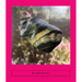 Elemental: Earth Stories
