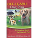Off-Leash Dog Play: A Complete Guide to Safety and Fun
