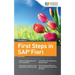 First Steps in SAP Fiori