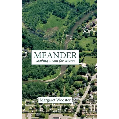 Meander: Making Room for Rivers