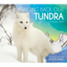 Bringing Back Our Tundra