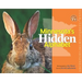 Minnesota's Hidden Alphabet