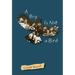 A Boy Is Not a Bird