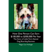 How One Person Can Earn $100,000 to $300,000 Per Year: The Story of Little Farm Kennel Dog Boarding Business