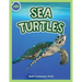 Sea Turtles Activity Workbook ages 4-8