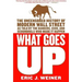 What Goes Up: The Uncensored History of Modern Wall Street as Told by the Bankers, Brokers, Ceos, and Scoundrels Who Made It Happen